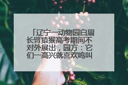 辽宁一动物园白眉长臂猿猴高考期间不对外展出，园方：它们一高兴就喜欢鸣叫，怕影响考试